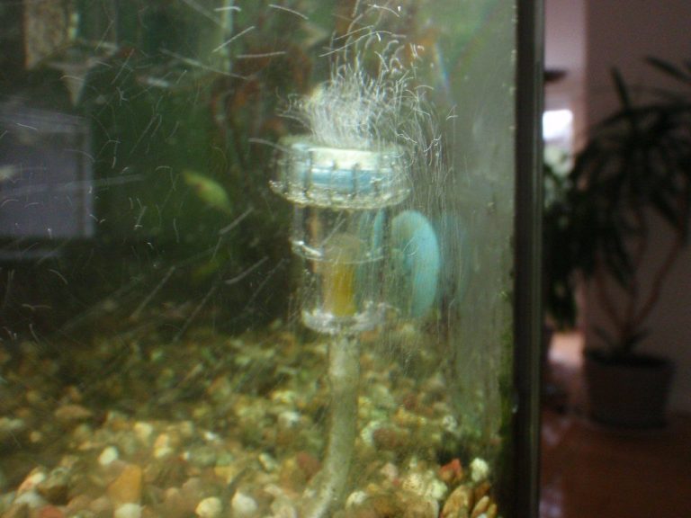 CO2 Mist Aquarium