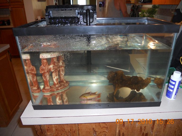 Copper Therapeutic Level Aquarium
