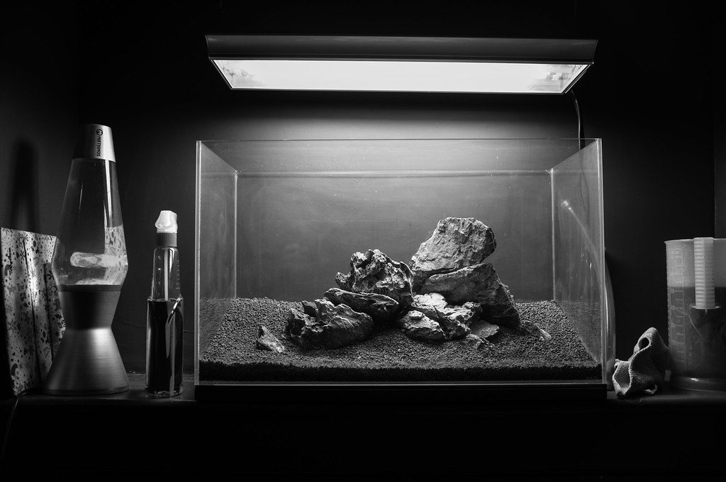 How Long To Leave Reef Tank Fallow