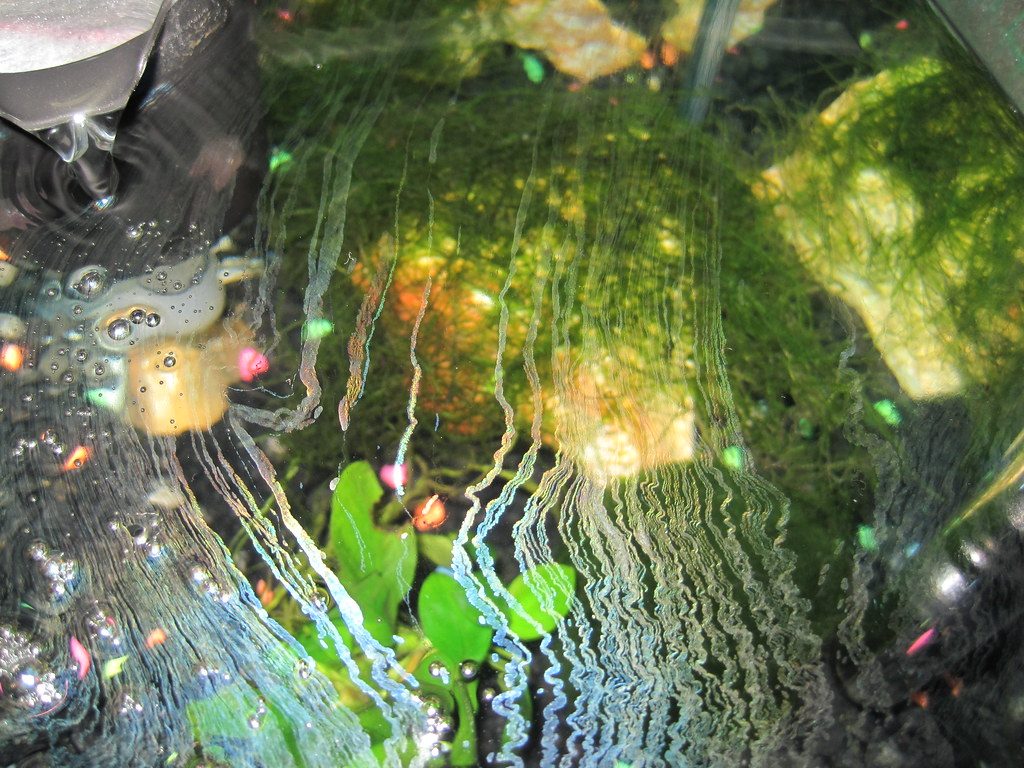 How Often To Change The Water In A Fish Tank With A Filter