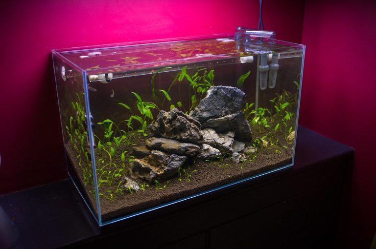 Tank Transfer Method