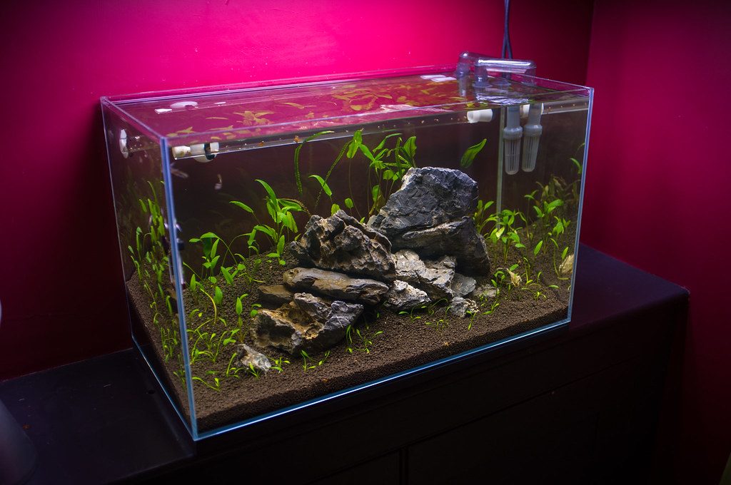 Tank Transfer Method